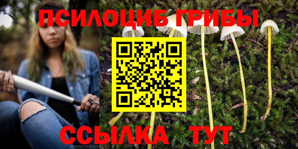 Псилоцибиновые грибы Magic Shrooms  Вход с VPN  Лесной 